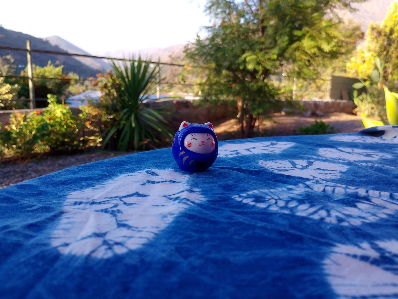 Daruma Cat "Blue"