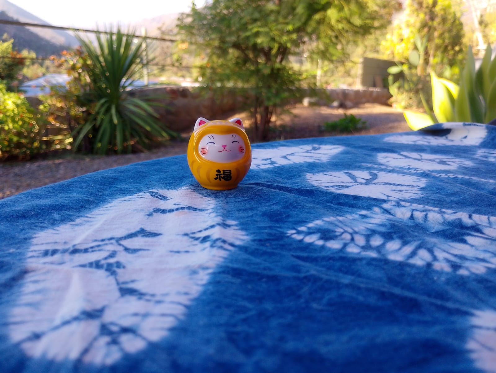 Daruma Cat "Yellow"