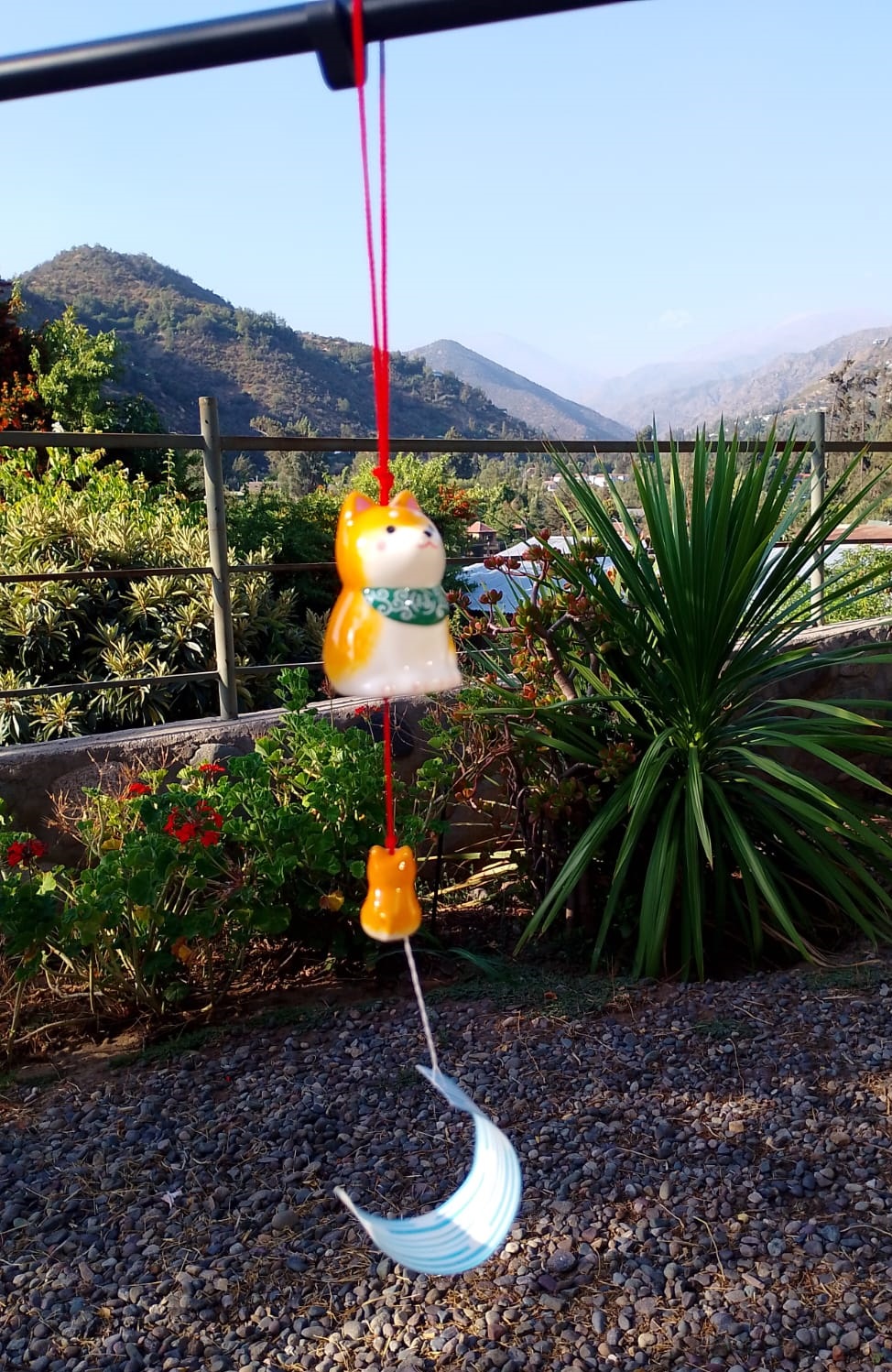 Furin Akita Amarillo