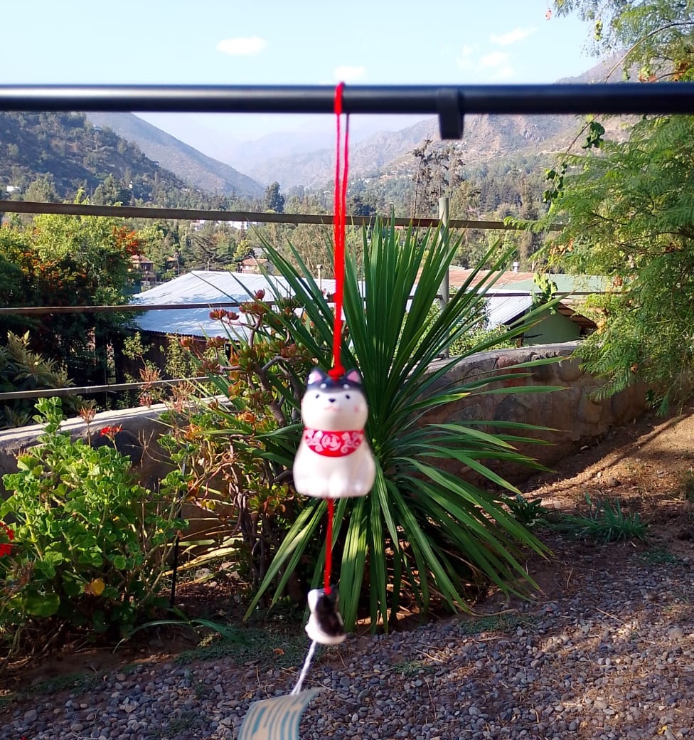 Furin Akita Negro