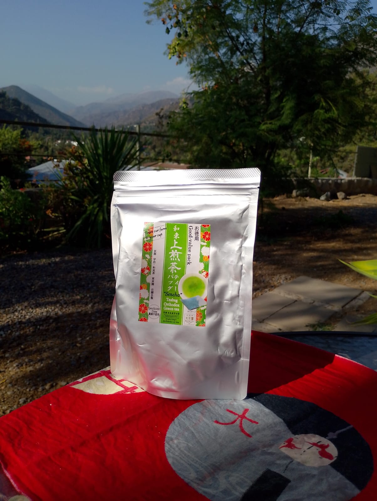 Té verde SENCHA, Bolsa 20 bolsitas.  50 grs.